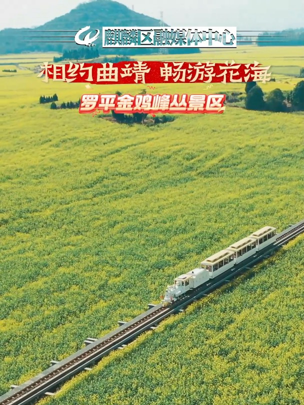 相约曲靖 畅游花海——罗平金鸡峰丛景区