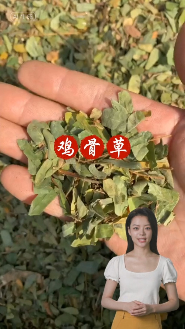 鸡骨草的用途和选择,欢迎家人们了解