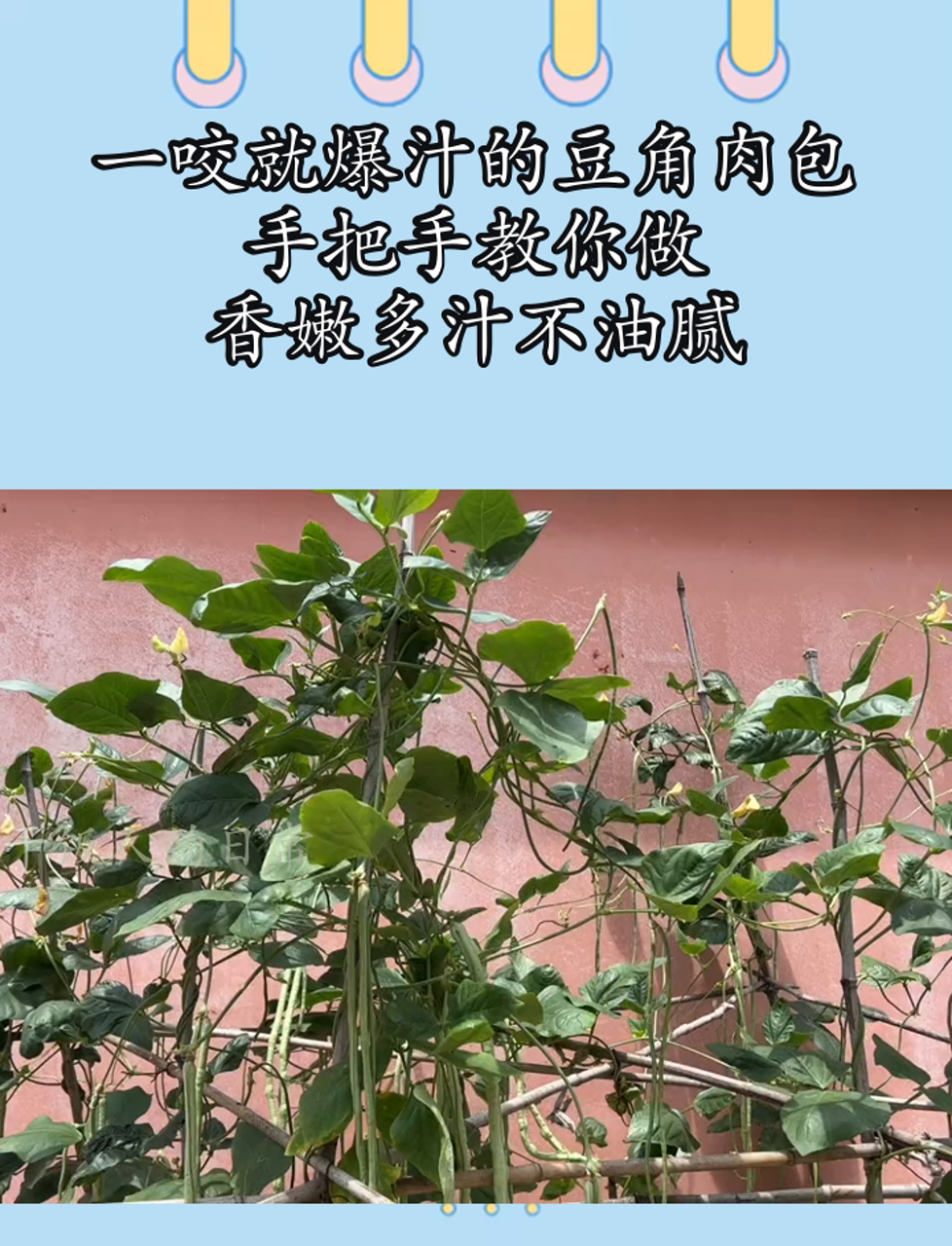 一咬就爆汁的豆角肉包,手把手教你做,香嫩多汁不油腻