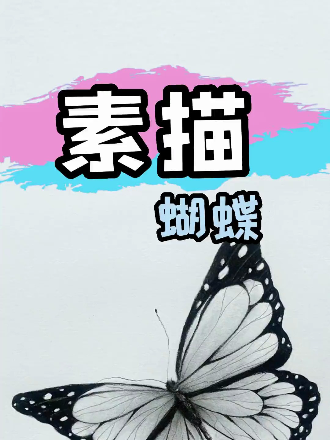 素描花蝴蝶该怎么去画呢?