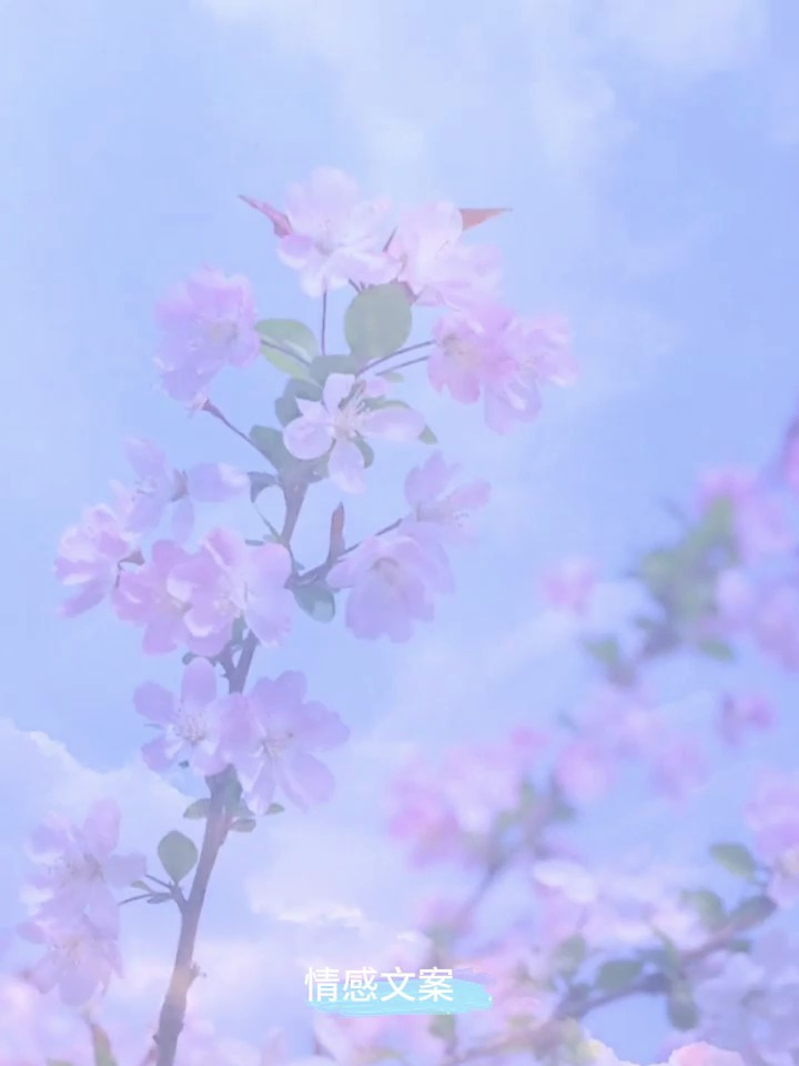 生活归于平淡,晨起暮落,早出晚归,忙有所得