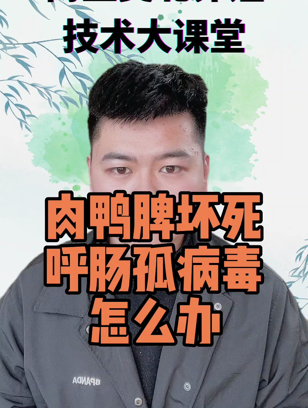 肉鸭脾坏死是什么引起的雏鸭脾坏死的原因及解决方法
