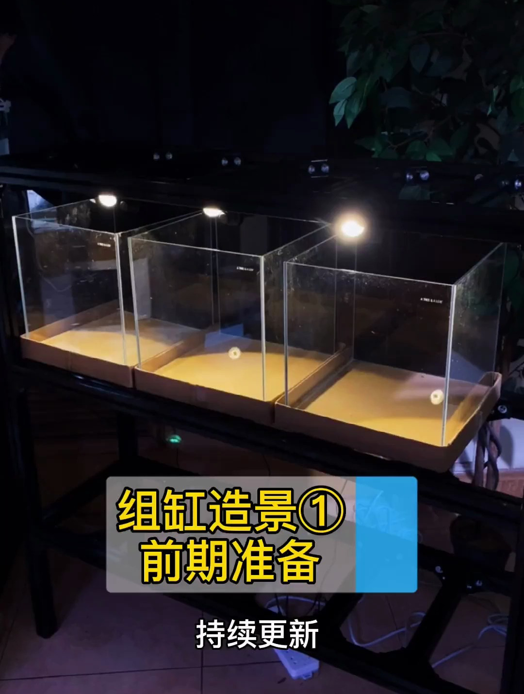 组缸的征程开始了