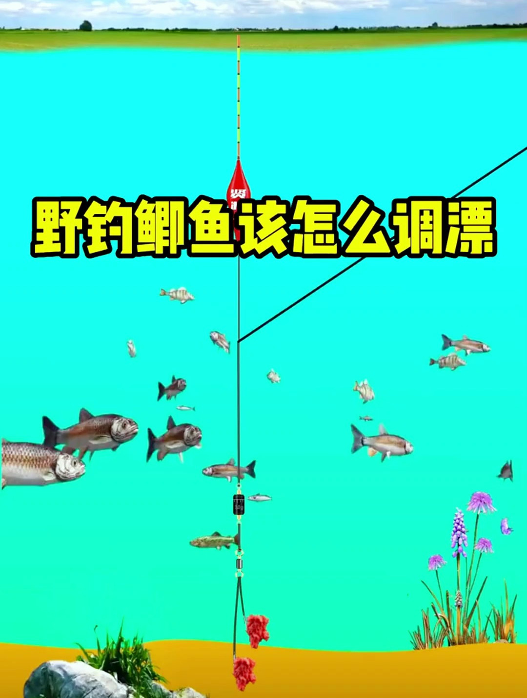 野钓鲫鱼怎么调漂?