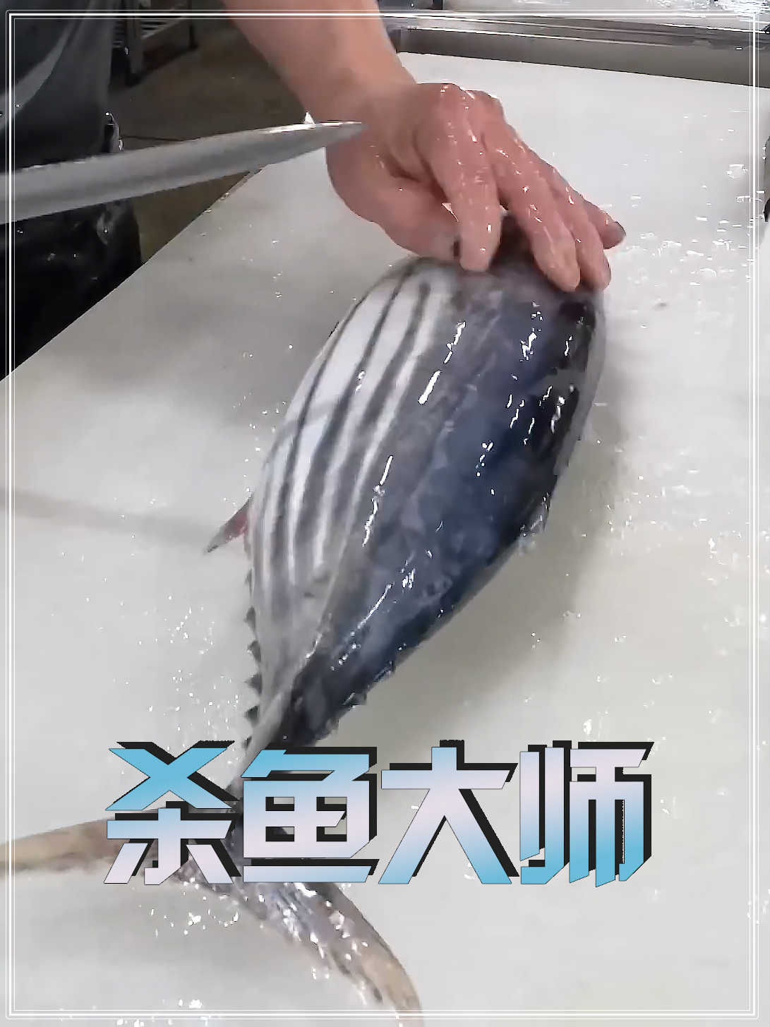 日本杀鱼大师刀下的各种“亡鱼”