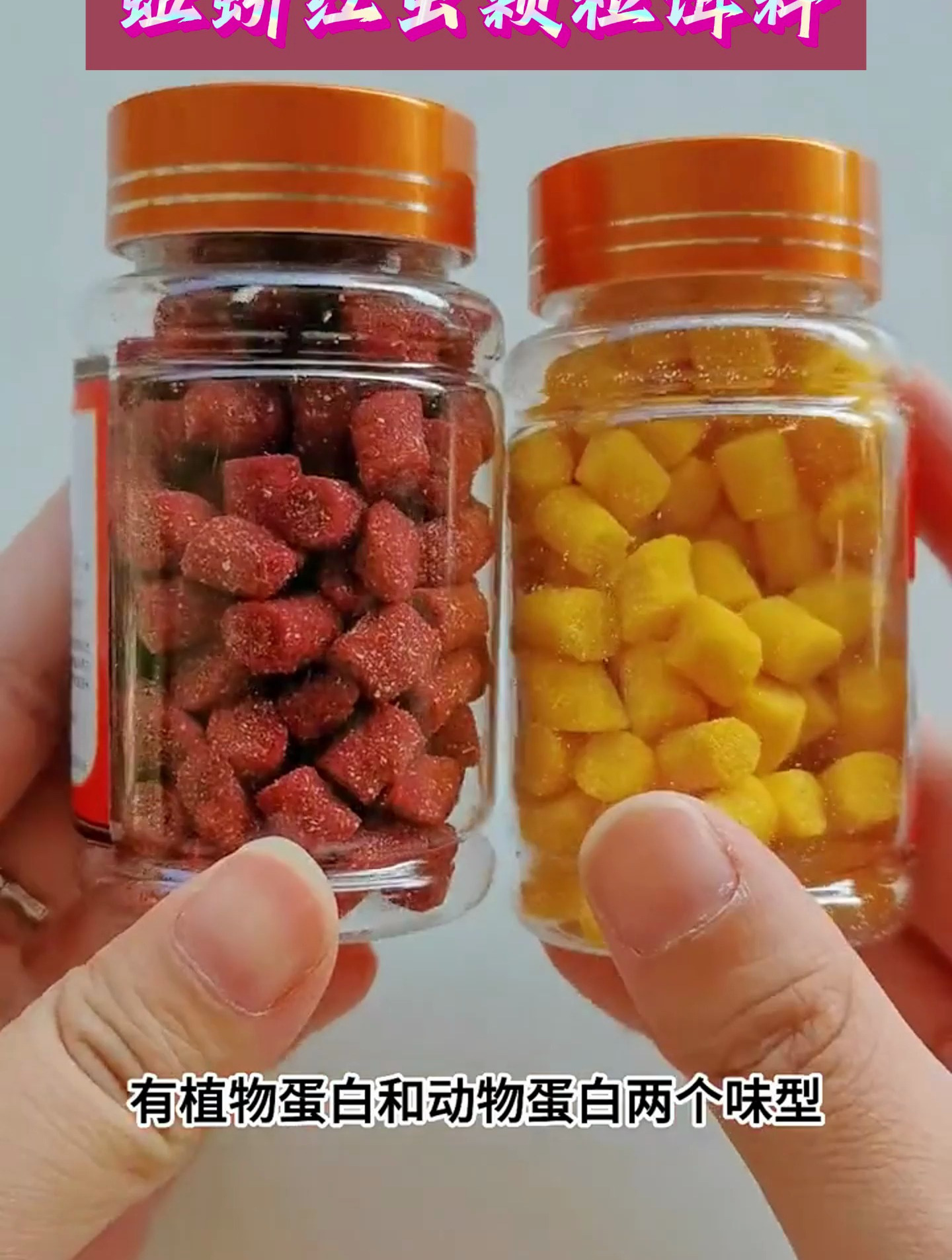 这就是冬天钓大鱼的饵料,你知道了吗?