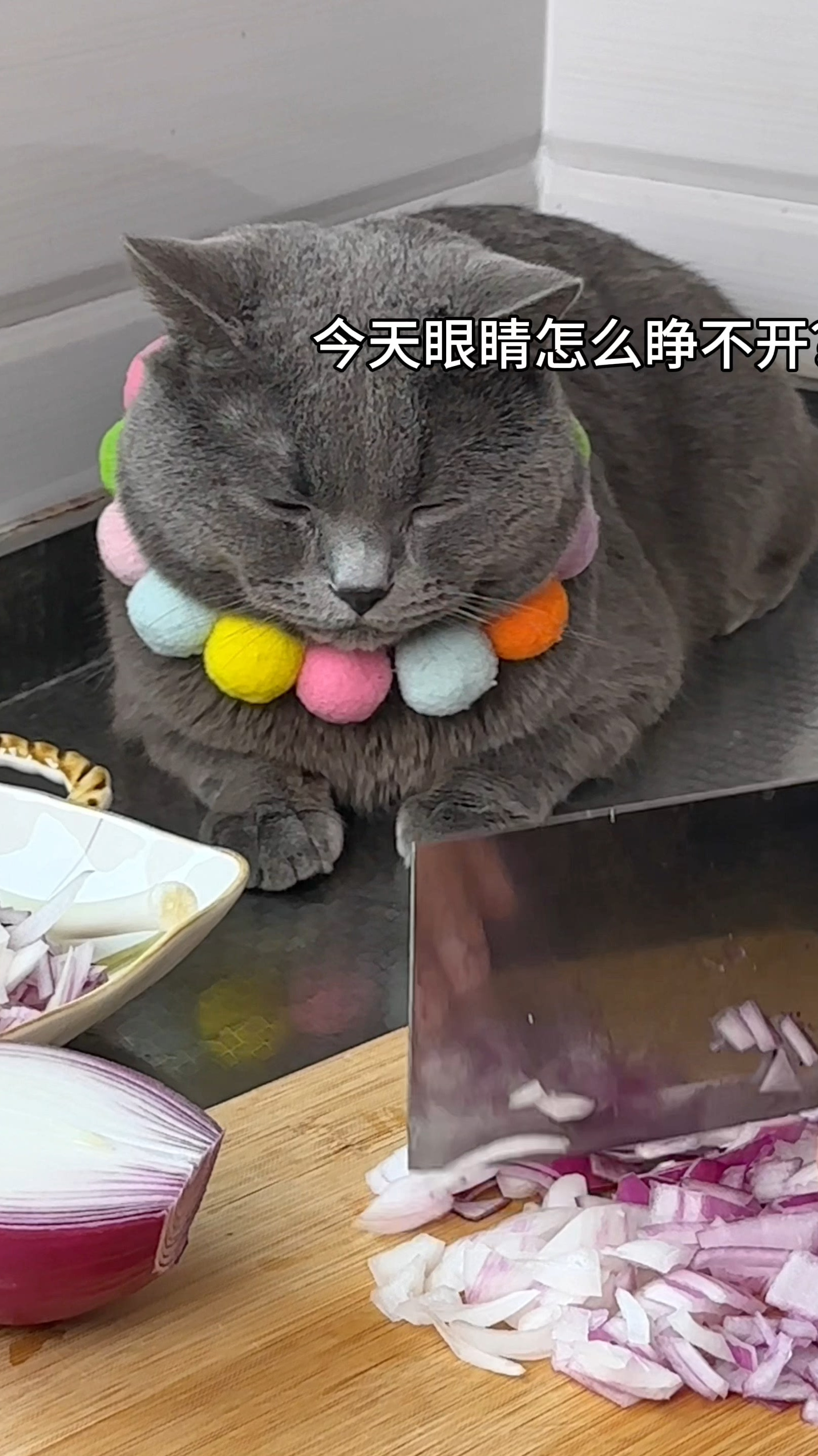 谁家好猫做个饭也要黏着啊?切个洋葱给它辣哭了也不离开……