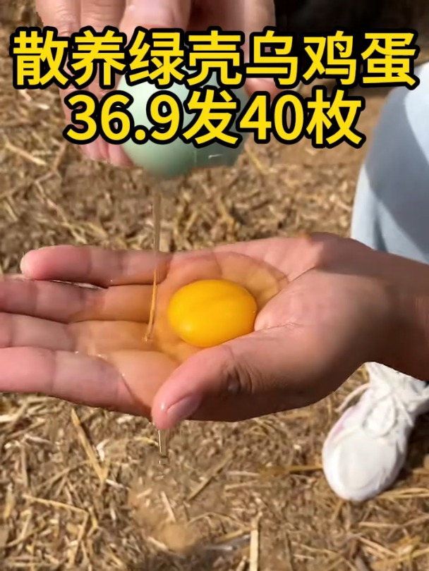 正宗绿壳散养谷物土鸡蛋