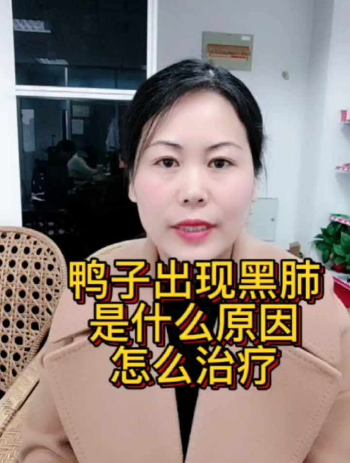 鸭子黑肺是什么原因