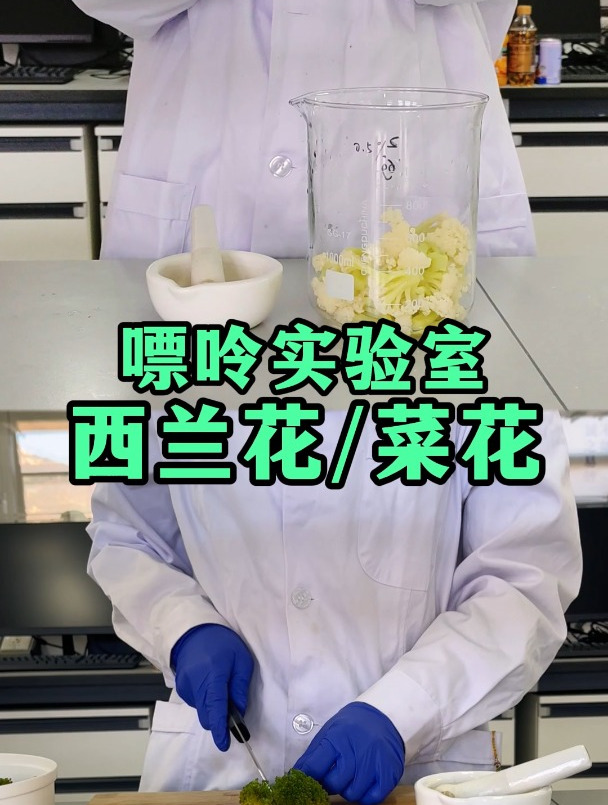 西兰花vs花菜,到底谁的嘌呤更高?你更爱吃哪种?
