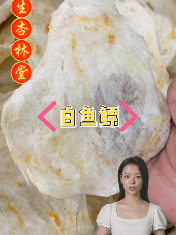 白鱼鳔的作用和选择,欢迎家人们了解