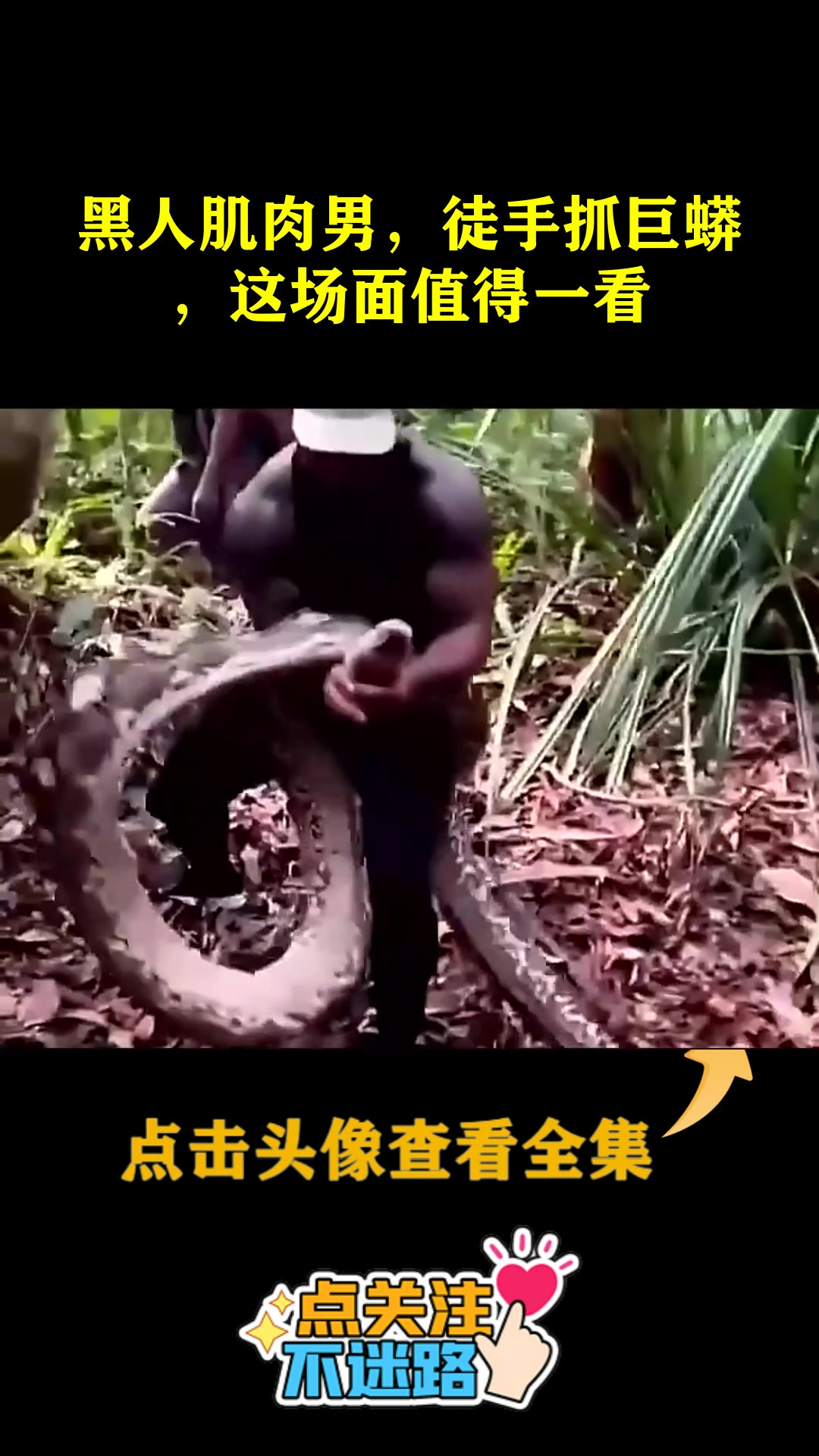 黑人肌肉男,徒手抓巨蟒,这场面值得一看