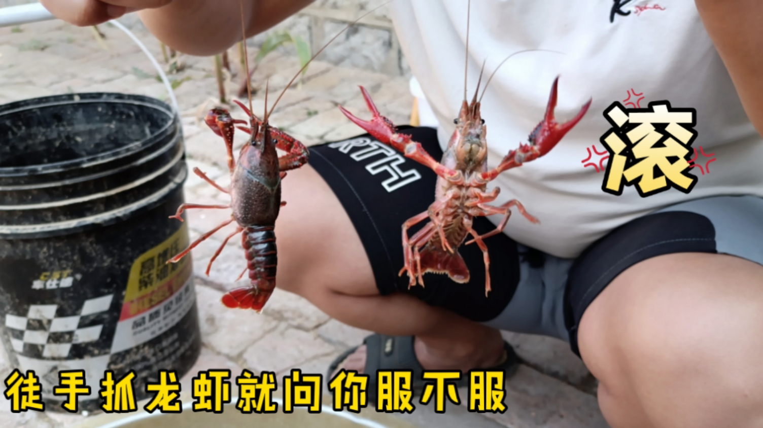 为了捕捉更多的龙虾,小伙专门买来鸡肠子做饵,这么折腾能回本吗