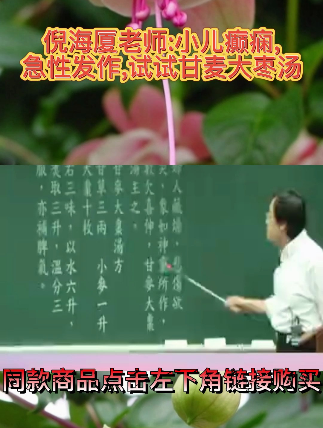 倪海厦老师小儿癫痫,急性发作,试试甘麦大枣汤