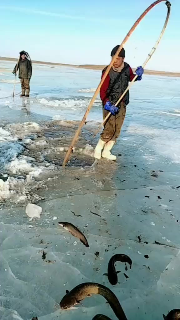 东北冰上竹子锚鱼,这是什么原理,有人知道吗