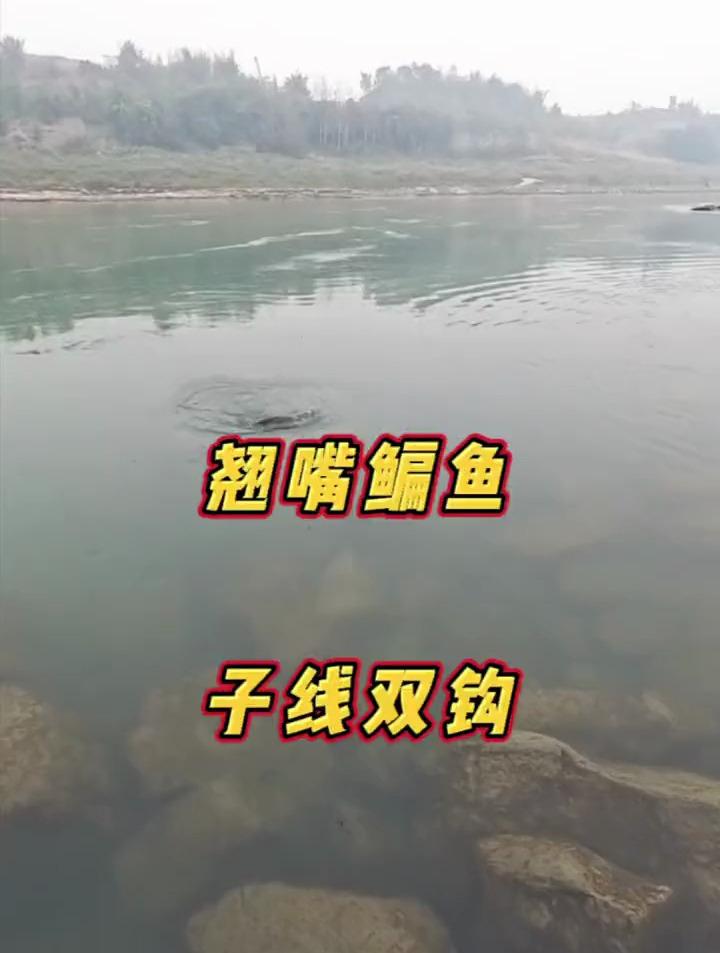 钓翘嘴和鳊鱼,为何建议用长子线?钓鱼高手:这样对鱼更有吸引力