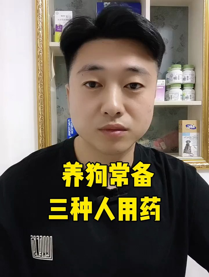 养狗常备的药,省钱好用,你家里都有吗?
