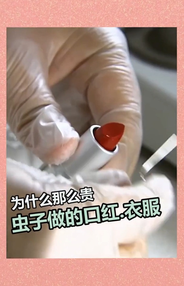 虫子做的口红和衣服,为什么那么贵?
