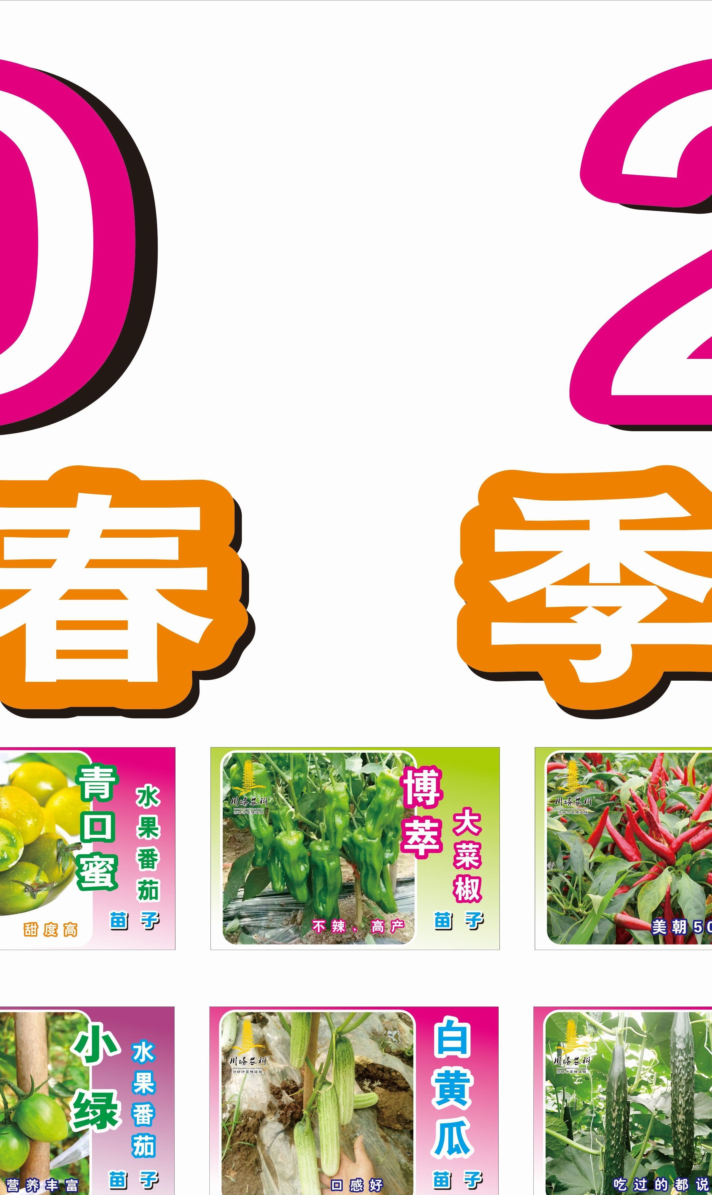 3月7日 菜苗宣传——第二弹