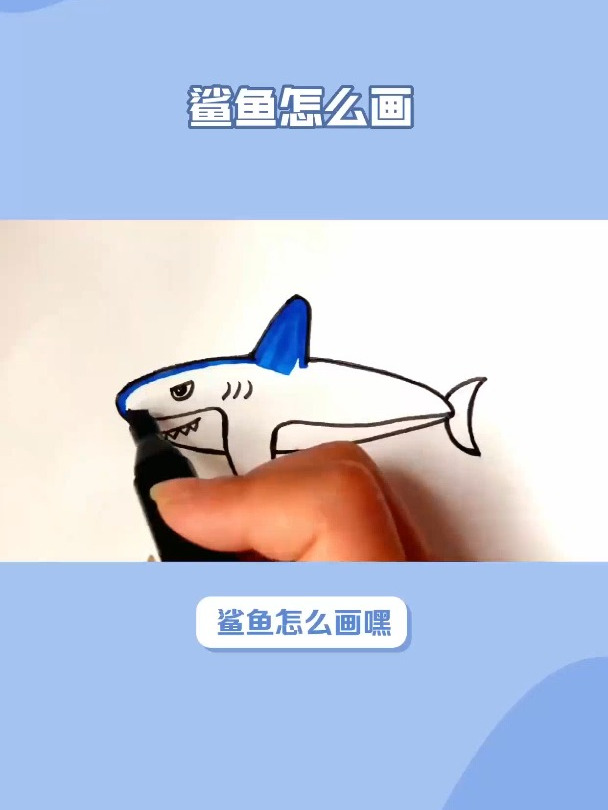鲨鱼怎么画?一看就会