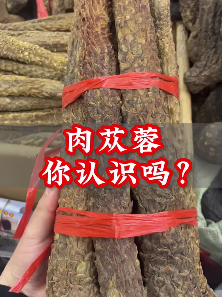 肉苁蓉软质和硬质的区别你知道吗?