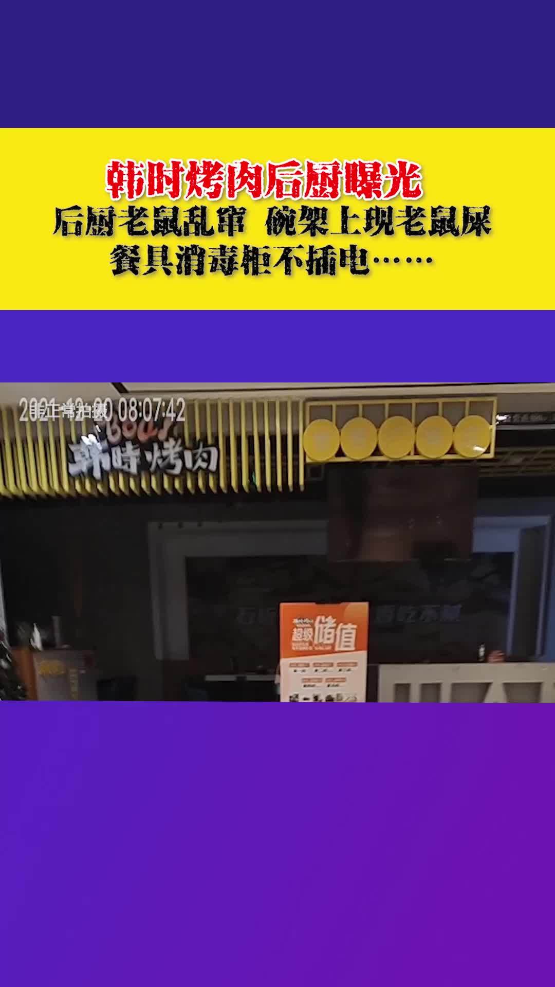 韩时烤肉后厨老鼠乱窜,老鼠屎散落在碗架上、操作台面上 市场监管 食品安全 后厨 餐饮