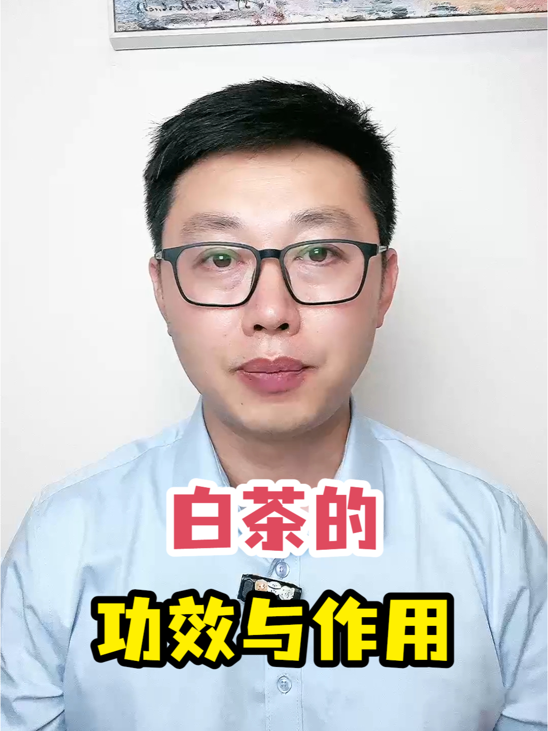 白茶的功效与作用
