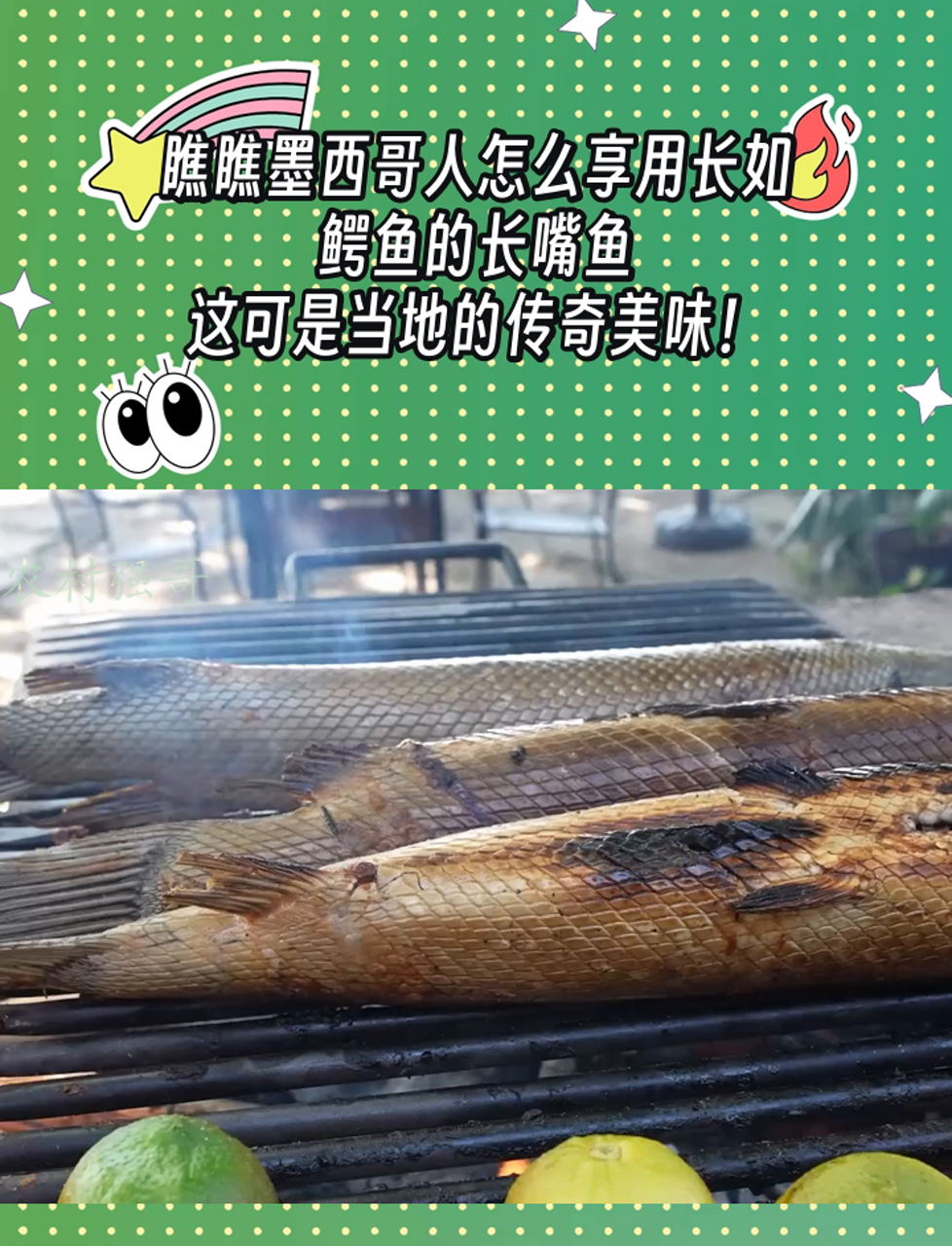 瞧瞧墨西哥人怎么享用长如鳄鱼的长嘴鱼,这可是当地的传奇美味!