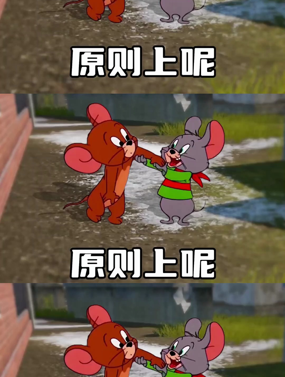 不怕挨打就拿去发 猫和老鼠表情包 艾特你想艾特的人