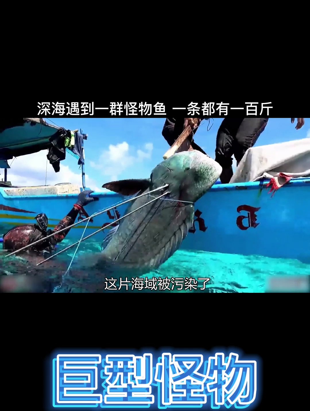 深海遇到一群怪物鱼,一条都有一百斤