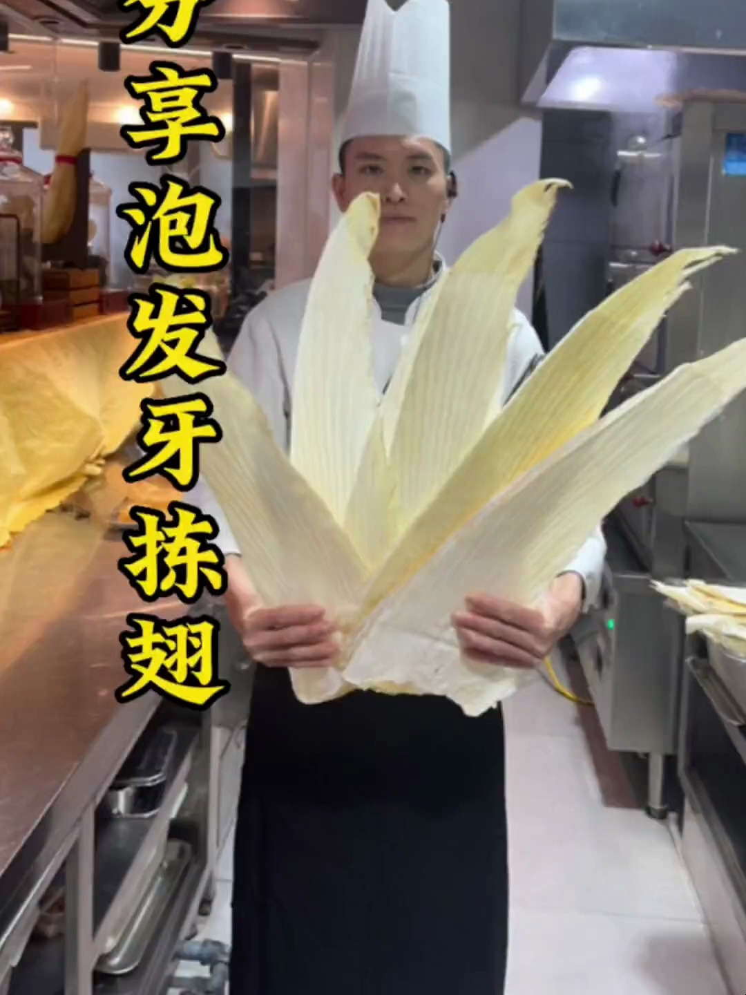 不念过往,不畏将来,允许一切的发生