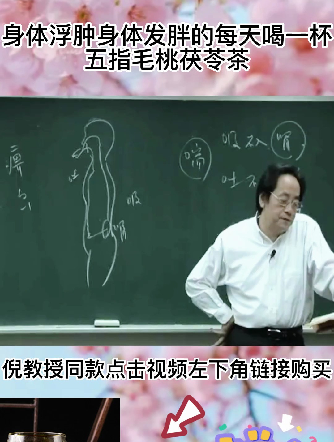 倪教授;五指毛桃茯苓茶有清热解毒的功效