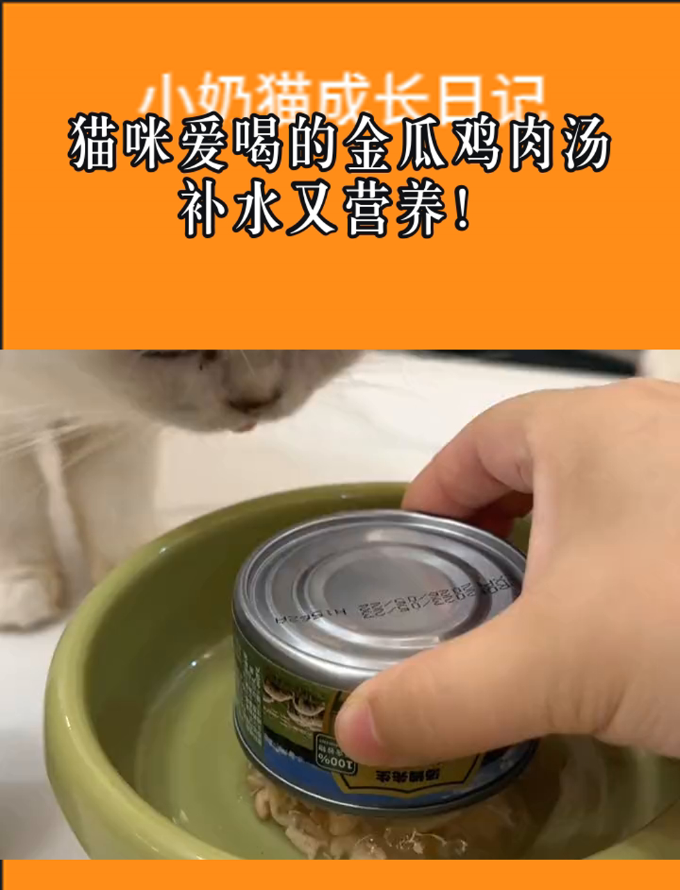 猫咪爱喝的金瓜鸡肉汤,补水又营养!
