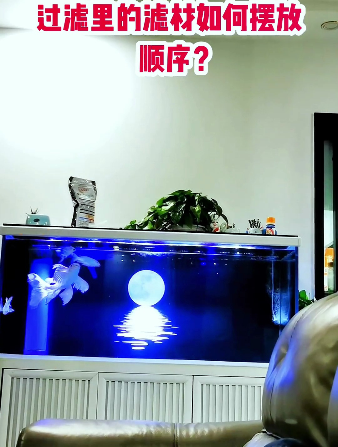 过滤里的滤材如何摆放顺序?看看你摆对了吗!
