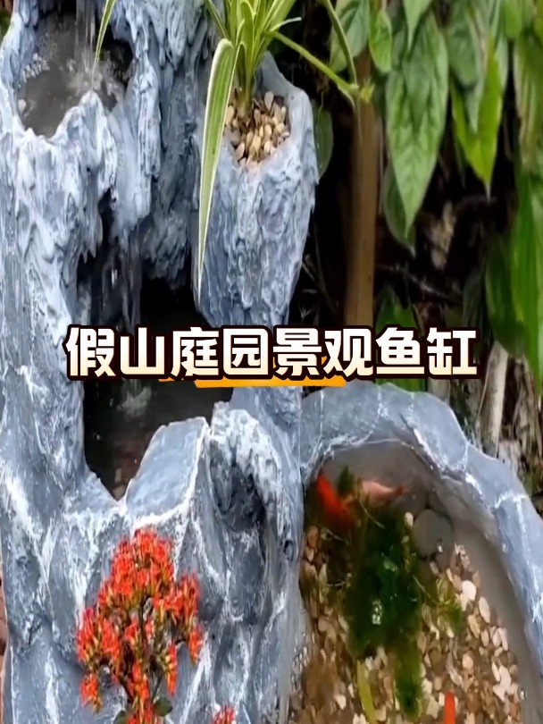 小伙真会玩,制作假山庭院景观鱼缸,好看又实用