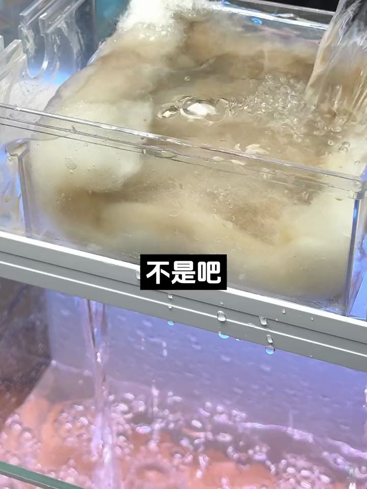 鱼缸过滤总是堵水怎么办?垫上堵水克星,让水流更加通畅!