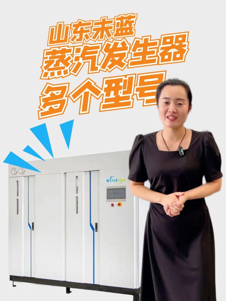 蒸汽发生器的型号选择