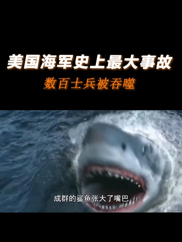 鲨鱼吃人真实事件,美国海军史上最大海滩事故,数百士兵被吞噬