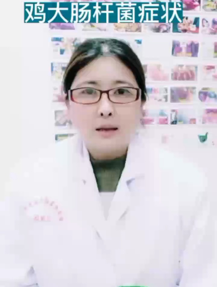 鸡大肠杆菌感染的症状及治疗
