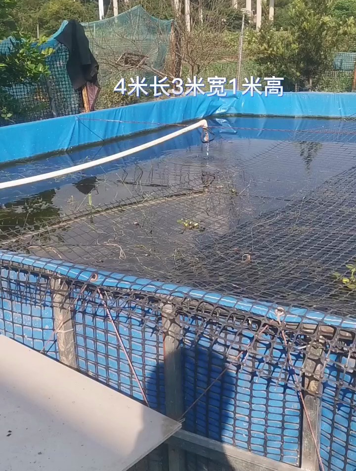 工厂一手货源,方形养鱼池定做,有空地就可以养,帆布帆布鱼池