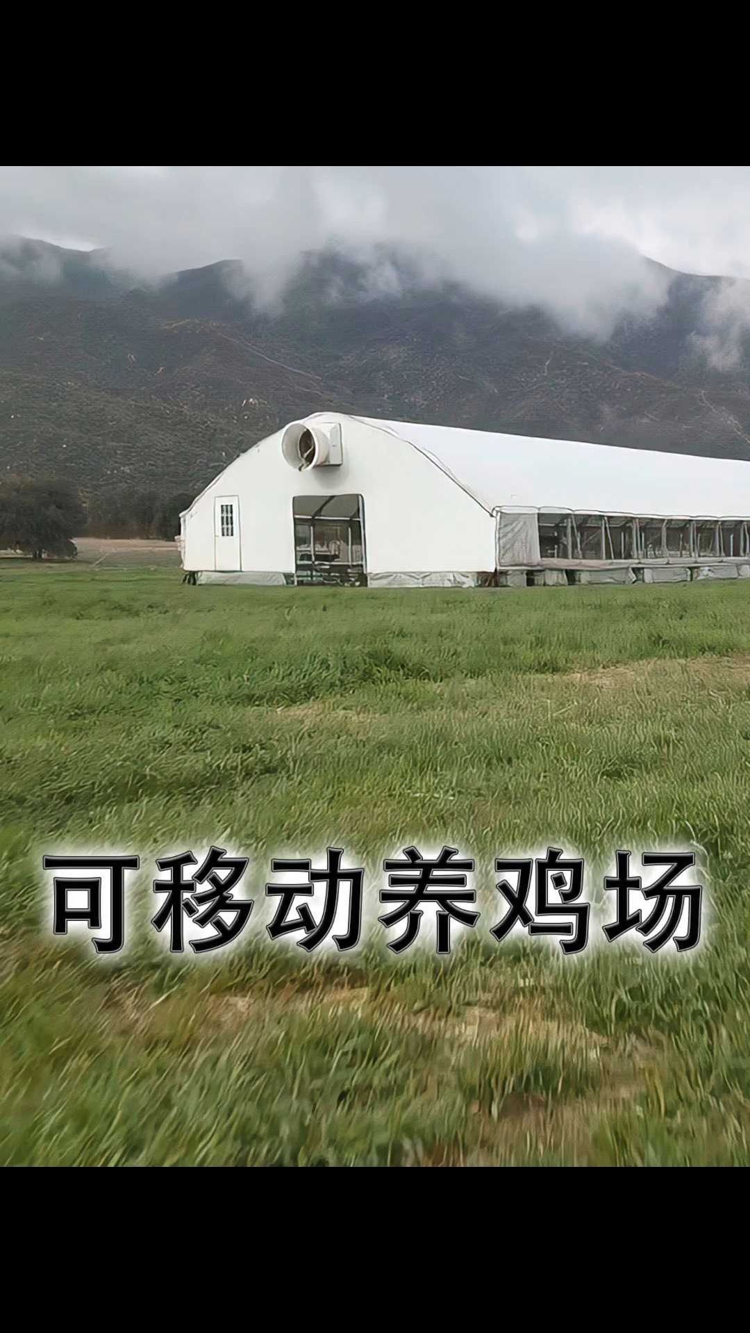 可移动养鸡场究竟有什么有趣之处?