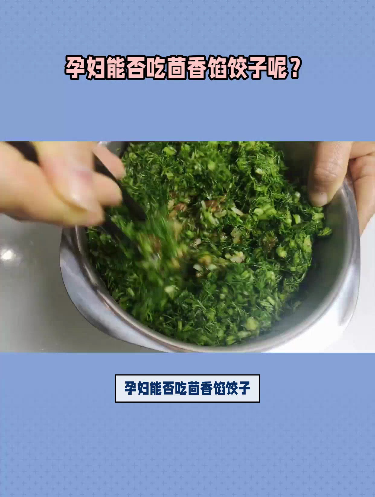 孕妇能吃茴香馅饺子吗?