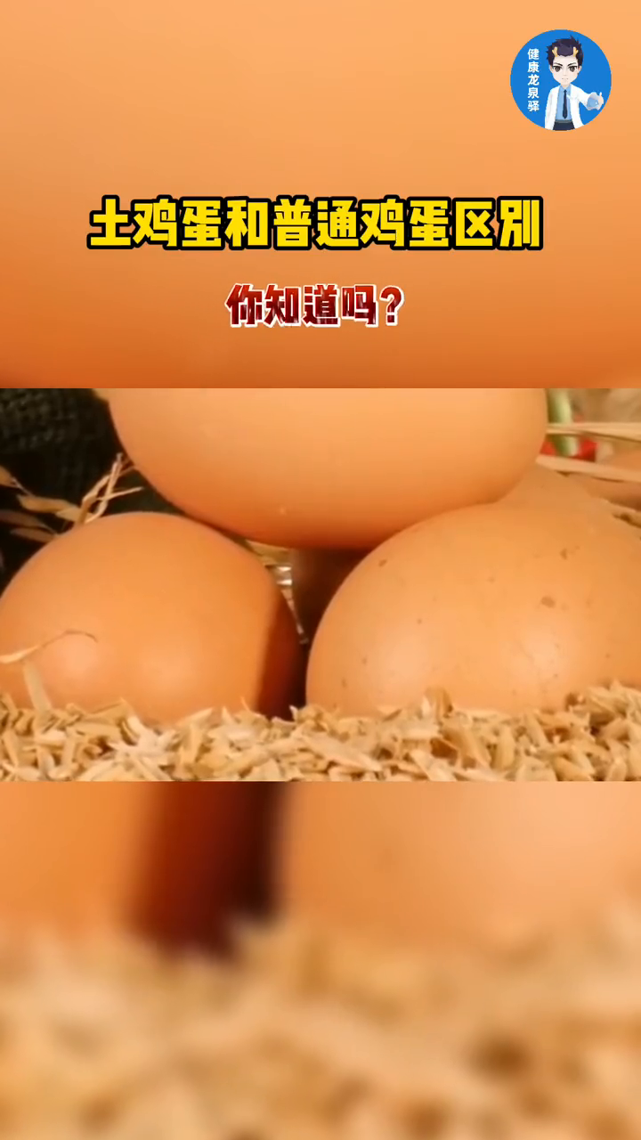 土鸡蛋和普通鸡蛋区别 你知道吗?