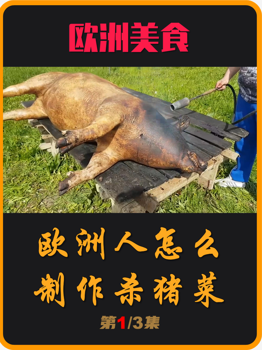 一个视频讲清楚,欧洲人是如何制作杀猪菜的(01)