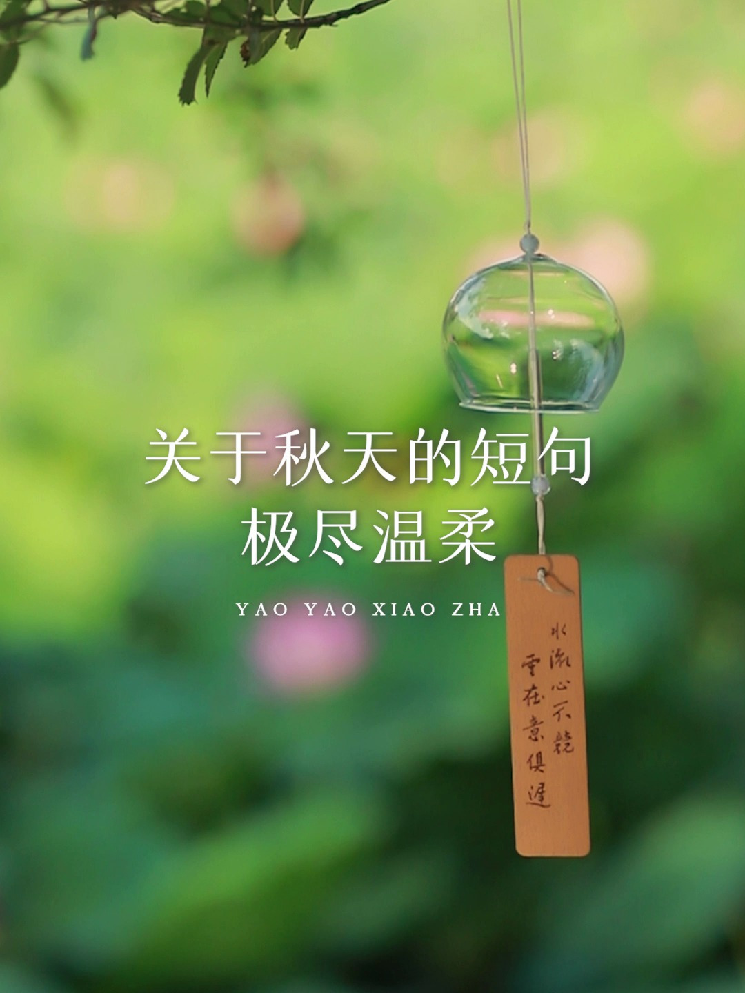 又是一年秋,一些适合秋天发的短句,极尽温柔,先收藏