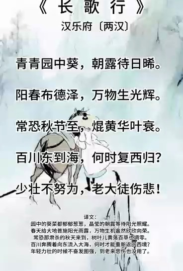 古诗《长歌行》汉乐府及译文