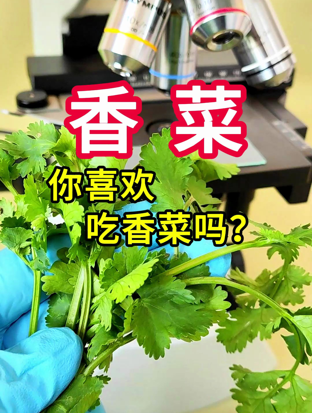 你喜欢吃香菜(芫荽)吗?