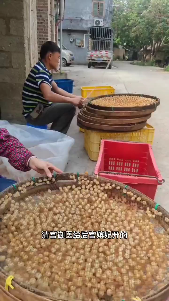 古代桂圆肉就非常的有名,养生最佳选择!