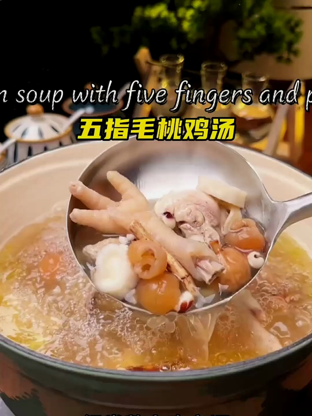 广东靓汤五指毛桃鸡汤