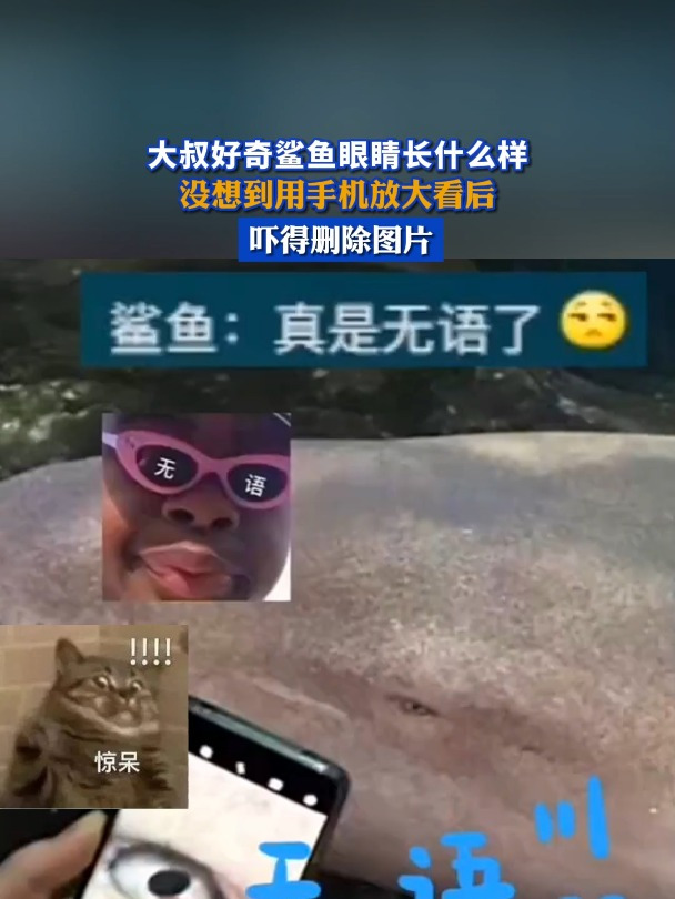 大叔好奇鲨鱼眼睛长什么样,没想到用手机放大看后,吓得删除图片